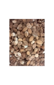 Acı Kayısı Çekirdeği 1 Kg Diğer