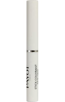Payot Pate Stick Couvrant Pate Grise Kapatıcı 1.6 G