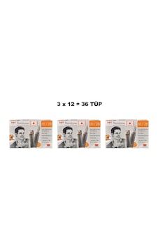 Tombow Klasik Tüp 0.5 MM 2B 36'lı Tombow Klasik Tüp 0.5 MM 2B 36'lı