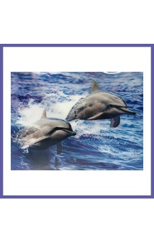 Bezos 3 Boyutlu Resim Sevimli Yunuslar İkili Yunus Resmi Tablosu 30x40 Cm Nıda Bezos 3 Boyutlu Resim Sevimli Yunuslar İkili Yunus Resmi Tablosu 30x40 Cm Nıda