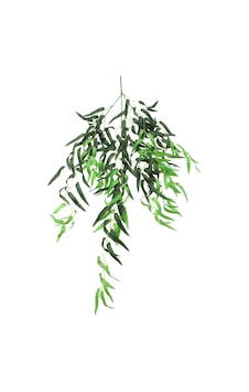 Yapay Çiçek Deposu Sarkan Sarkıt Kumaş Zeytin Yaprağı 100 Cm Yapay Çiçek Deposu Sarkan Sarkıt Kumaş Zeytin Yaprağı 100 Cm