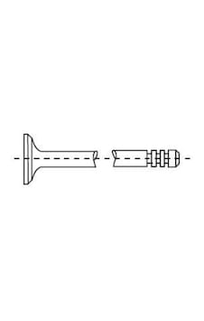 Supap - 737 - Takımı Bmw M43 E36 E46 E34 E38 E31 In:4 - Dpmıx-hb - Ex:4 0721-11-0722-11 Supap - 737 - Takımı Bmw M43 E36 E46 E34 E38 E31 In:4 - Dpmıx-hb - Ex:4 0721-11-0722-11