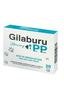 Gilaburu Kedi Köpek Böbrek Destek Ürünü 20 Kapsül - İdrar Yolu Enfeksiyonlarına Karşı Orijinal Takviye