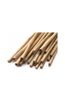 Gardenbox Bambu Bitki Destek Çubuğu, 60 Cm, 10'lu Set Gardenbox Bambu Bitki Destek Çubuğu, 60 Cm, 10'lu Set