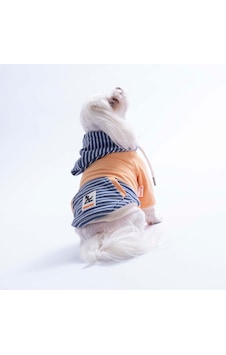 Somon Sera Stripe Köpek Hoodie Köpek Sweat Köpek Kıyafeti Kedi Kıyafeti Somon Sera Stripe Köpek Hoodie Köpek Sweat Köpek Kıyafeti Kedi Kıyafeti