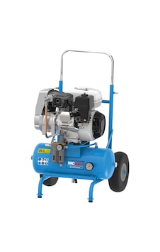 Campagnola Mc220 Gp160 11bar 39kg Havalı Zeytin Hasat Makinesi Benzinli Kompresör Campagnola Mc220 Gp160 11bar 39kg Havalı Zeytin Hasat Makinesi Benzinli Kompresör