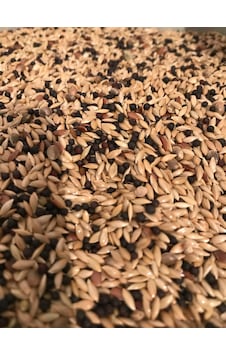 Vivid Standart Karışık Kanarya Yemi 1 KG Vivid Standart Karışık Kanarya Yemi 1 KG