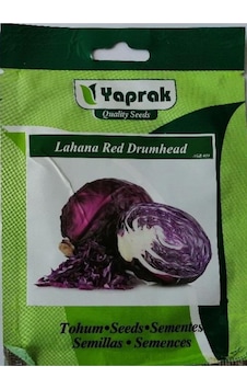Lahana Tohumu Red Drum Head 5 Gr Lahana Tohumu Red Drum Head 5 Gr