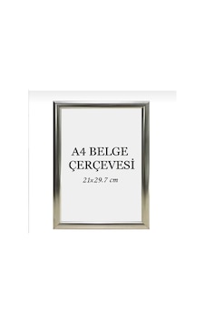 21x30 Fotoğraf Resim Poster Sertifika Çerçevesi
