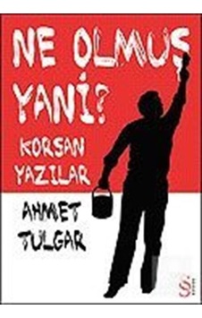 Ne Olmuş Yani ?Korsan Yazılar - Ahmet Tulgar - Everest Yayınları