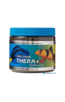 New Life Spectrum Thera A+ 50 G Kovadan Bölme New Life Spectrum Thera A+ 50 G Kovadan Bölme