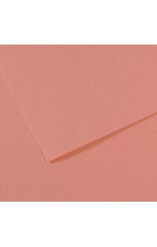 Canson Fon Kartonu Dokulu Mı-teıntes Sh Canmt 50x65 160 Gr Pınk 352 Canson Fon Kartonu Dokulu Mı-teıntes Sh Canmt 50x65 160 Gr Pınk 352