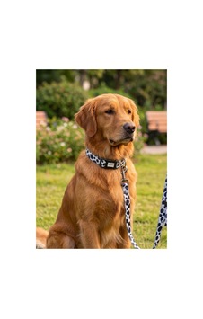 Geri Dönüştürülmüş Doğa Dostu Ayarlanabilir Kedi Köpek Boyun Tasması Benekli Siyah Geri Dönüştürülmüş Doğa Dostu Ayarlanabilir Kedi Köpek Boyun Tasması Benekli Siyah