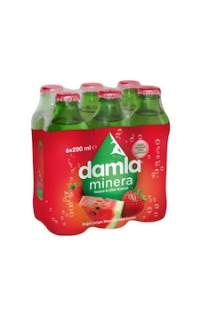 Damla Mineralli Karpuz Çilek Aromalı Maden Suyu 6 x 200 ML