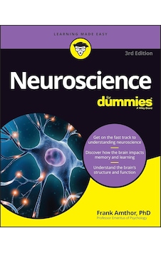 Neuroscience For Dummies Neuroscience For Dummies