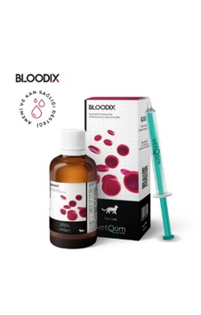 Vetqom Bloodix Kedi Kan Yapıcı Damla Halsizlik, Kansızlık, Anemi, B12 & Demir Eksikliği İçin Veteriner Desteği Vetqom Bloodix Kedi Kan Yapıcı Damla Halsizlik, Kansızlık, Anemi, B12 & Demir Eksikliği İçin Veteriner Desteği