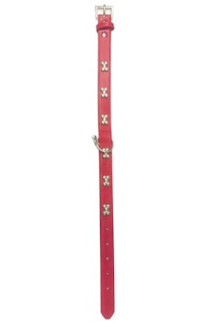 Köpek Boyun Tasması Kırmızı Kemik Desenli 49 Cm Diğer Köpek Boyun Tasması Kırmızı Kemik Desenli 49 Cm Diğer