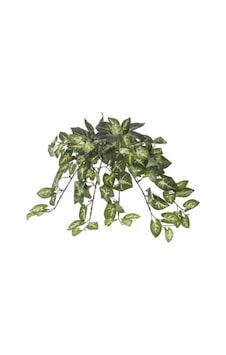 Euro Flora Yapay Sarmaşık Sygonıum Demet 42 Cm (540405787)