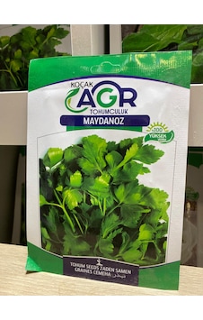 Agr Maydanoz Tohumu Maydanoz Agr Maydanoz Tohumu Maydanoz