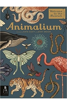 Animalium (Welcome To The Museum) - Jenny Broom - Kings Road Publishing Animalium (Welcome To The Museum) - Jenny Broom - Kings Road Publishing