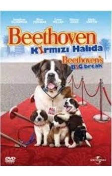 Dvd-Beethoven Kırmızı Halıda
