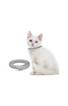 Mucit Home Kedi Pire Ve Bit Kovucu Engelleyeci Tasma Boyunluk 38 Cm Mucit Home Kedi Pire Ve Bit Kovucu Engelleyeci Tasma Boyunluk 38 Cm