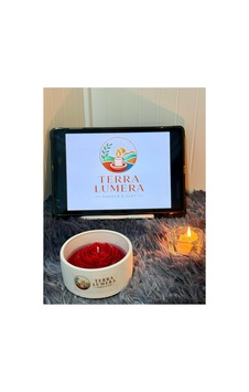 Bloom Bowl Rose Mum Kırmızı Bloom Bowl Rose Mum Kırmızı