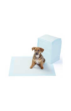 Köpek Çiş Eğitim Pedi 120'li 60 x 90 CM