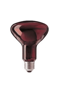 Isıtıcı Ampül 100w Isıtıcı Ampül 100w