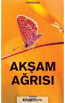 Akşam Ağrısı - Hüseyin Kaya - Eşik Yayınları