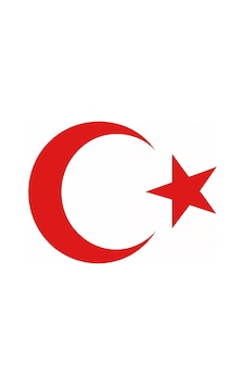 Türk Bayrağı Oto Sticker Kırmızı 23x17 Cm