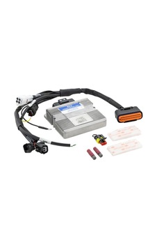 Polını Scooter Performans Modülü Euro 5 Tuning Ecu 125/150cc 171.0018 Polını Scooter Performans Modülü Euro 5 Tuning Ecu 125/150cc 171.0018