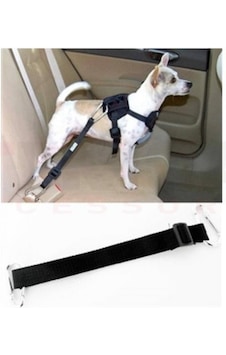 Araç İçinde Köpek Bağlama Kemeri Siyah