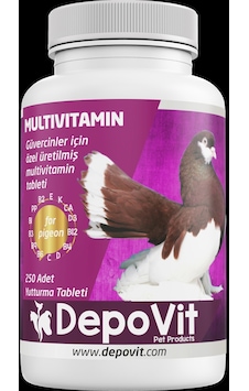 Multivitamin Tableti 250 Adet Multivitamin Tableti 250 Adet