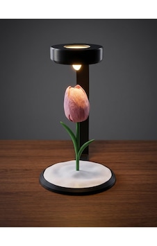 Moonlamp Pembe Lale Dekoratif Hediyelik Lamba Moonlamp Pembe Lale Dekoratif Hediyelik Lamba