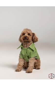 Salya Store Good Vibes- Yeşil Keten Yazlık Köpek Gömleği Küçük Irk Salya Store Good Vibes- Yeşil Keten Yazlık Köpek Gömleği Küçük Irk