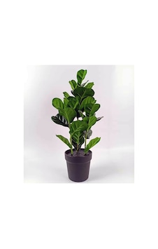 Koçtaş Yapay Bitki Ficus Lyrata Çok Renkli Koçtaş Yapay Bitki Ficus Lyrata Çok Renkli