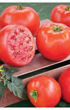Diğer Çiçek & Bitki Domates Tohumu H.2274 5 Gr
