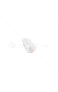 Arnica Uyumlu Blender Dişli Kavrama Parçası - Orbital 264702857