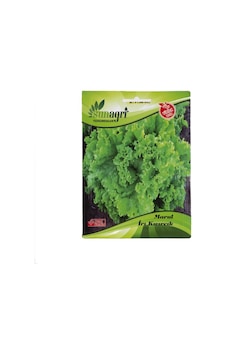 Sunagri İri Kıvırcık Marul Tohumu Sunagri İri Kıvırcık Marul Tohumu