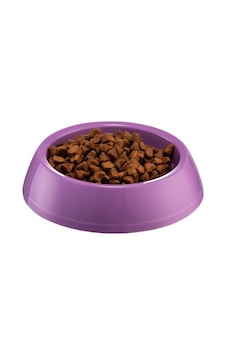 Mikopet Büyük Yuvarlak Mama Kabı 21,5 6,5cm Mikopet Büyük Yuvarlak Mama Kabı 21,5 6,5cm