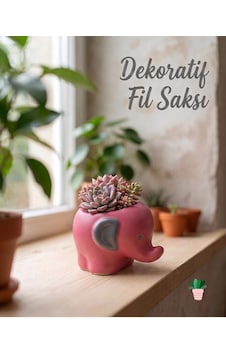 Tedisanat Dekoratif Pembe Fil Saksı Sukulent Ve Kaktüs İçin Özel Tasarım Obje Tedisanat Dekoratif Pembe Fil Saksı Sukulent Ve Kaktüs İçin Özel Tasarım Obje