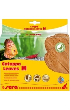 Sera Catappa Yaprağı M 18 CM (10 Adet) Sera Catappa Yaprağı M 18 CM (10 Adet)