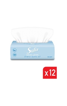 Sofia Skin Love Mendil 100'lü 12 Paket Sofia Skin Love Mendil 100'lü 12 Paket
