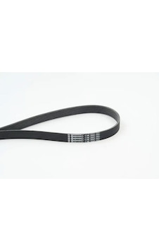 Contıtech 7pk2061 Kayis 04301rna305 04301rna306 11720jk20a Contıtech 7pk2061 Kayis 04301rna305 04301rna306 11720jk20a