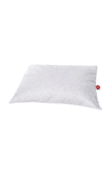 Cotton Box Kaz Tüyü Yastık %5 Gıdık-%95 Sırt 50x70 Beyaz Cotton Box Kaz Tüyü Yastık %5 Gıdık-%95 Sırt 50x70 Beyaz