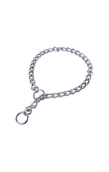 Nunbell Köpek Eğitim Boyun Zinciri 2,5 Mm - 40 Cm Çok Renkli Nunbell Köpek Eğitim Boyun Zinciri 2,5 Mm - 40 Cm Çok Renkli