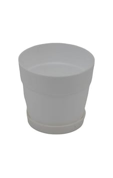 Poliwork Tabaklı Kaktüs Saksı Mix 0,4 Lt 95 90 Mm 22460154 Poliwork Tabaklı Kaktüs Saksı Mix 0,4 Lt 95 90 Mm 22460154