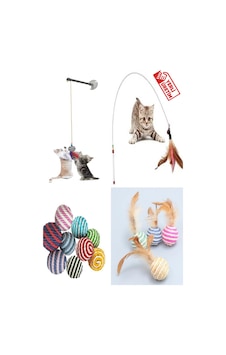 Tineke Kedi Oyuncağı Seti 4'lü Tineke Kedi Oyuncağı Seti 4'lü