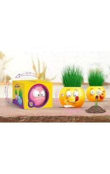 Yuup Emoji Temalı Çim Adam 6&apos Lı Set Çocuklar İçin Eğitici Ve Eğlenceli Bitki Yetiştirme Kiti